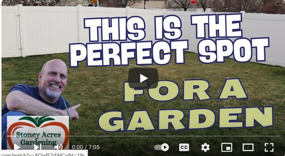 urban balcony vegetable garden split scene with spacious suburban backyard, people tending vegetables, demonstrating optimal garden sites in both environments