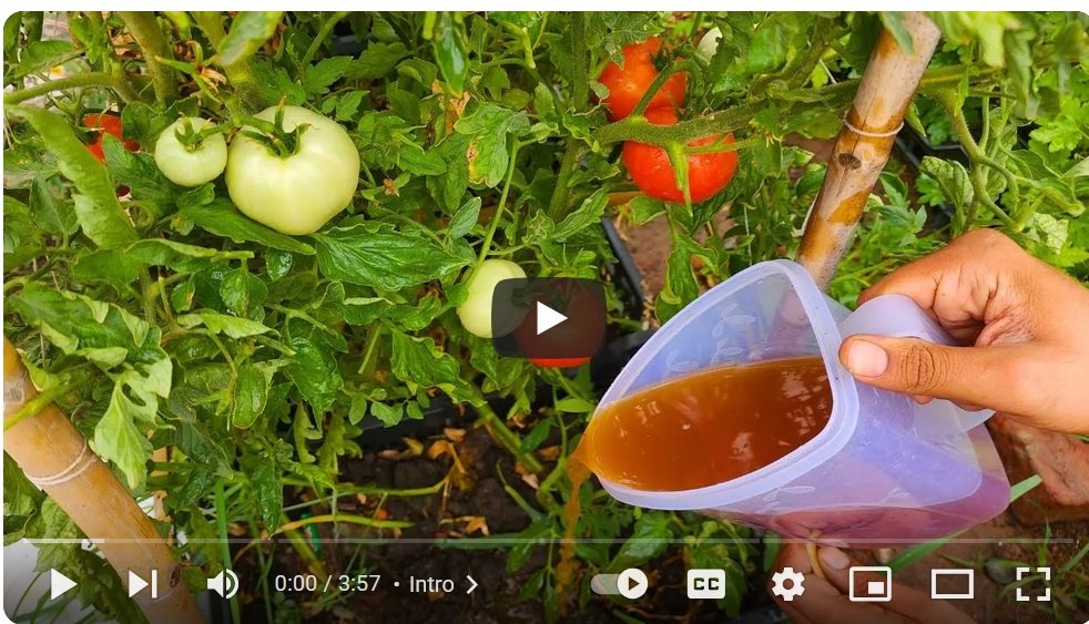 video 5 indoor gardening